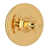 Unlacquered Brass