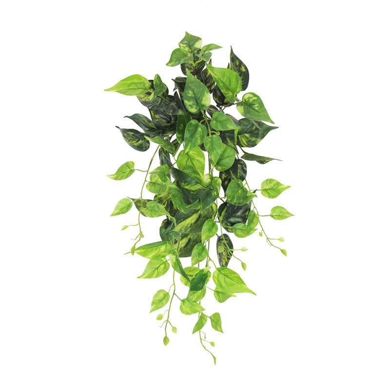 Plante artificielle suspendue lierre Pothos, H 24 po x l 12 po x P 6 po