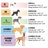 Orthopedic Polyester Pet Bed-38335197-38335203