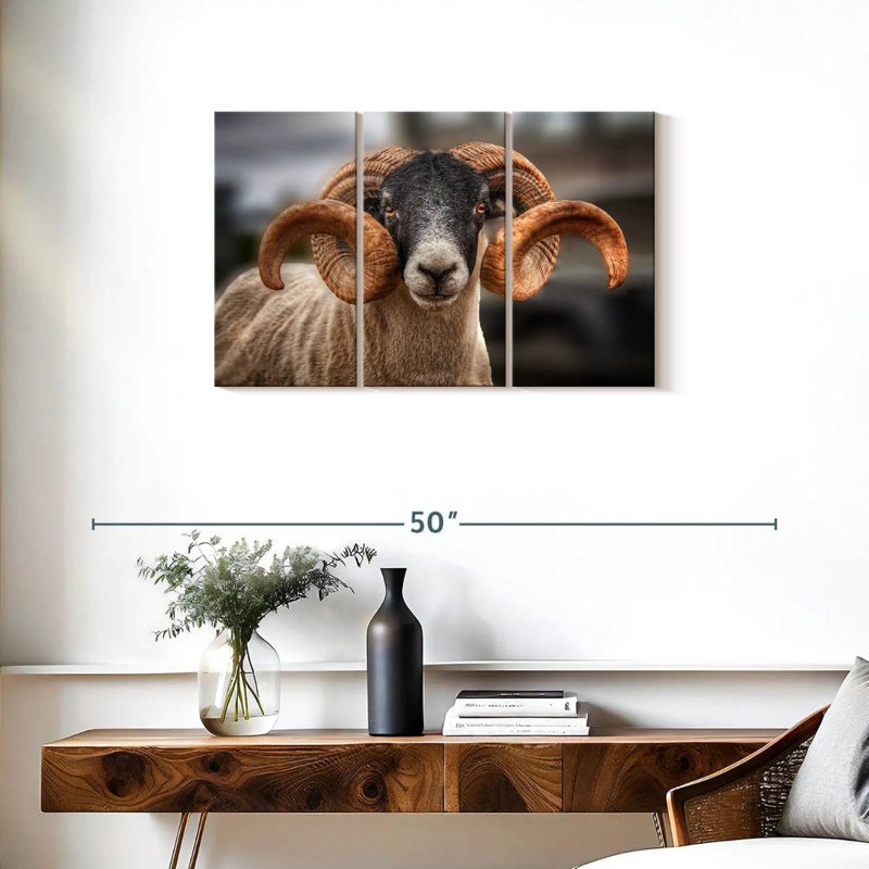 Brampt Scottish Blackface Ram, 20" H x 33" W