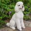 Statue caniche assis-935637460