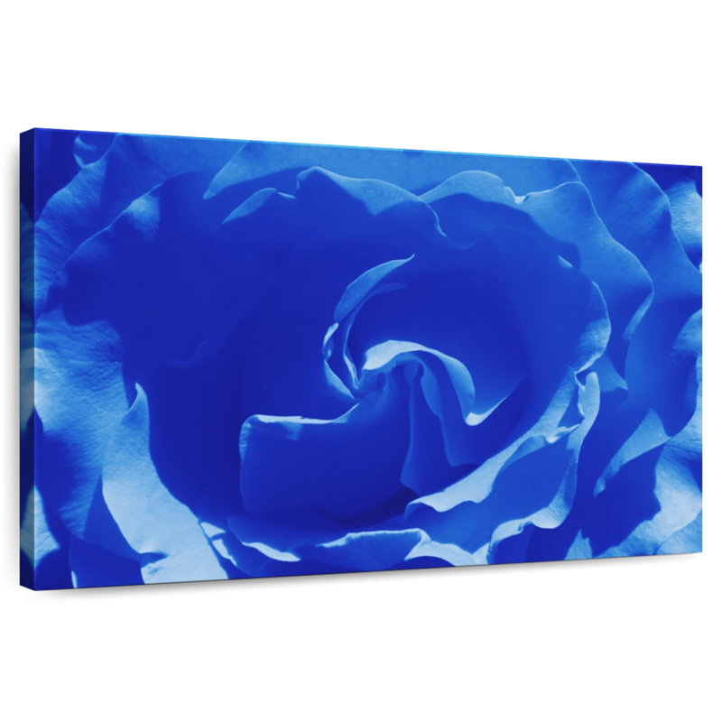 Hardie Blue Rose Macro Shot, 34" H x 51" W
