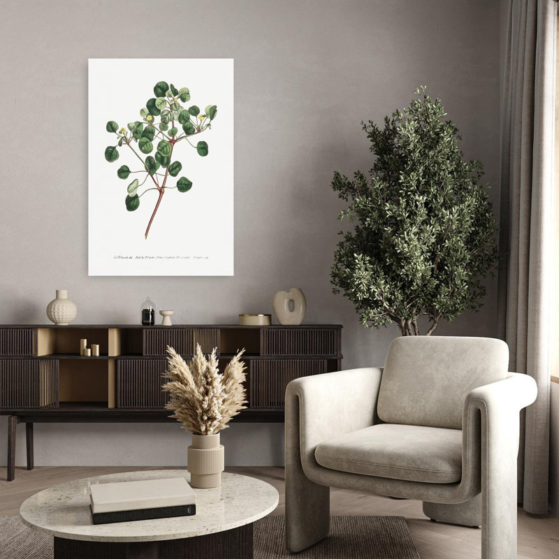 «Euphorbia Petiolaris 1805 Flower Garden» par Francis Sansom, art mural contemporain abstrait, H 36 po x l 24 po