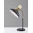 Rotisha Metal Desk Lamp