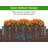 Srihaas Planter Box