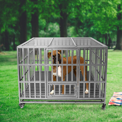 Caisse pour animaux robuste