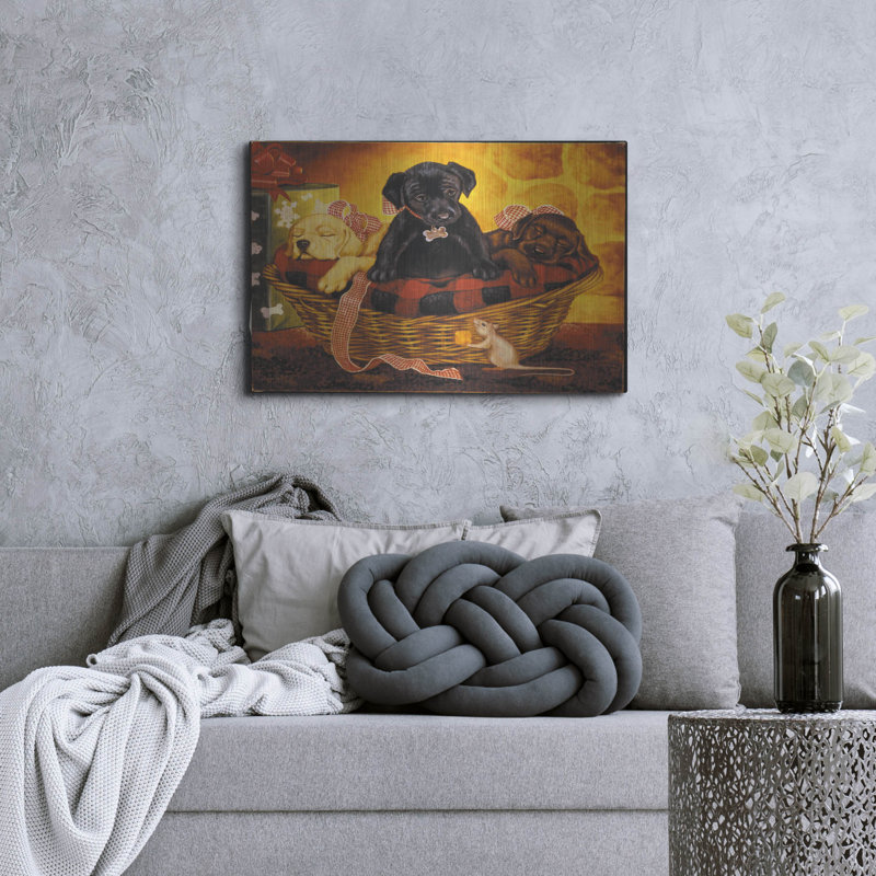 «Lab Basket» par Christopher Nick, H 24 po x l 36 po