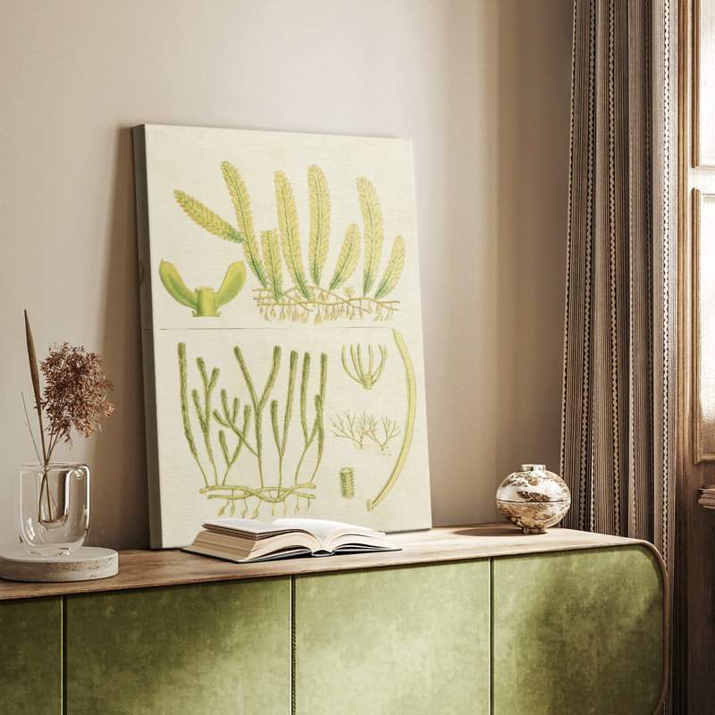 Herbe de mer rétro V - galerie Cavas enveloppé, H 12 po x l 8 po