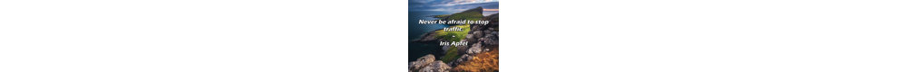 Iris Apfel Quote: Never be afraid to stop traffic.