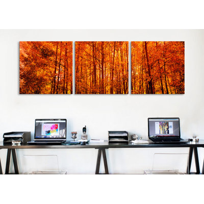 Aspen Trees at Sunrise in Autumn Colorado, USA 3 Piece Photographic Print on Wrapped Canvas Set