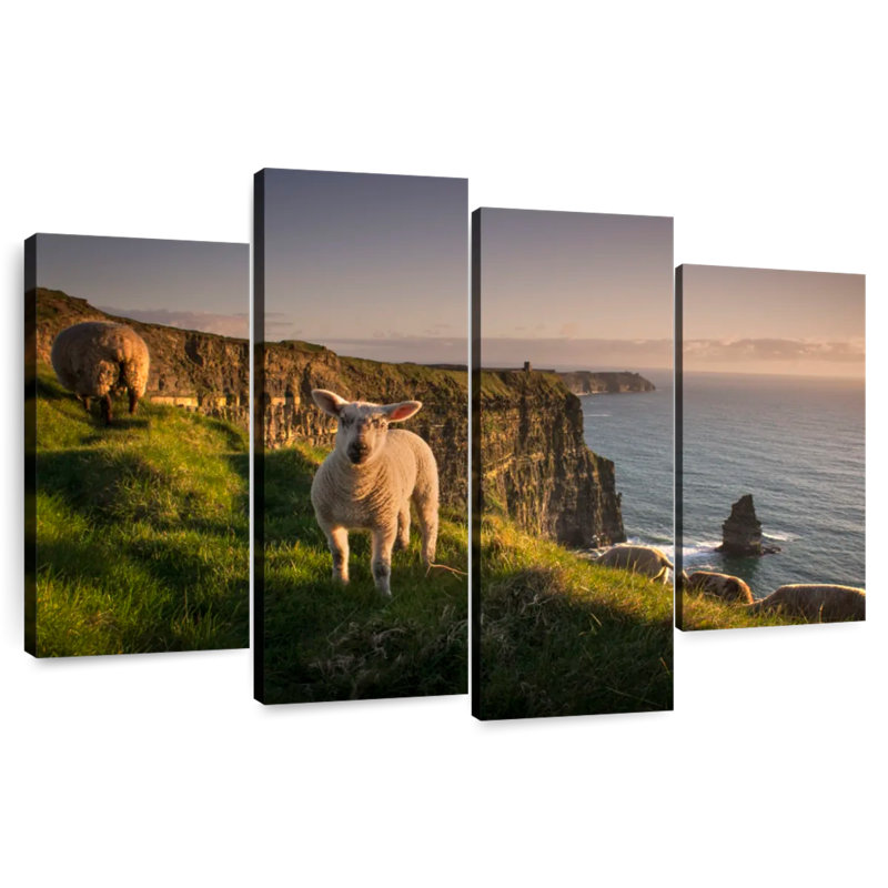 Brampt Moher Cliffs Sheep, 22"H x 36"W