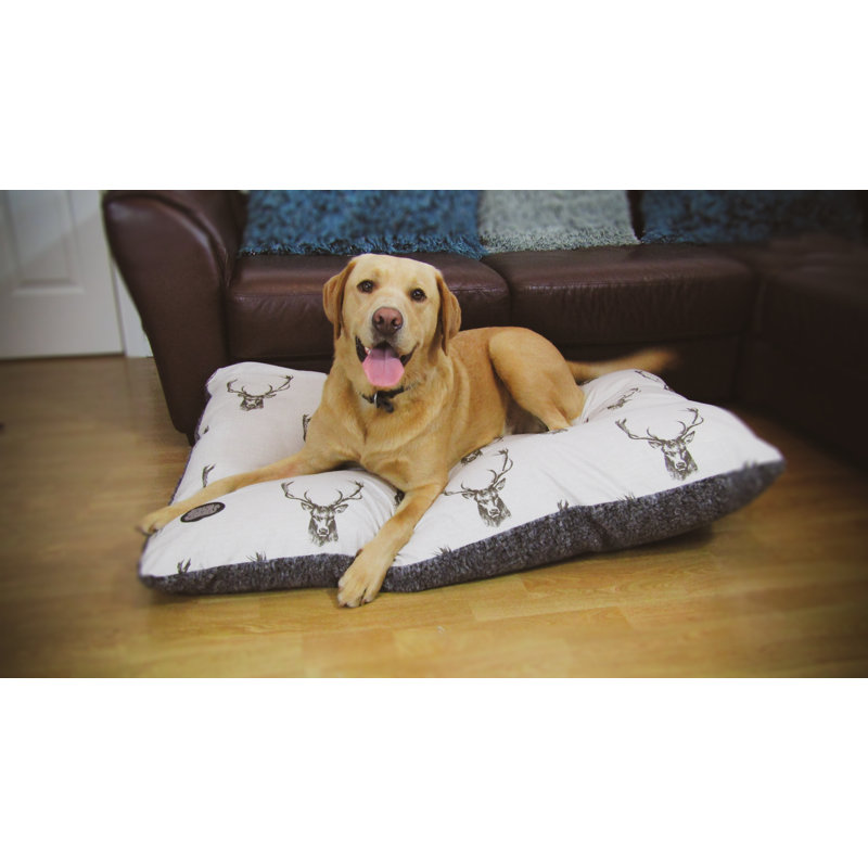 Bentley Pet Bed, 120cm W x 70cm D x 3cm H