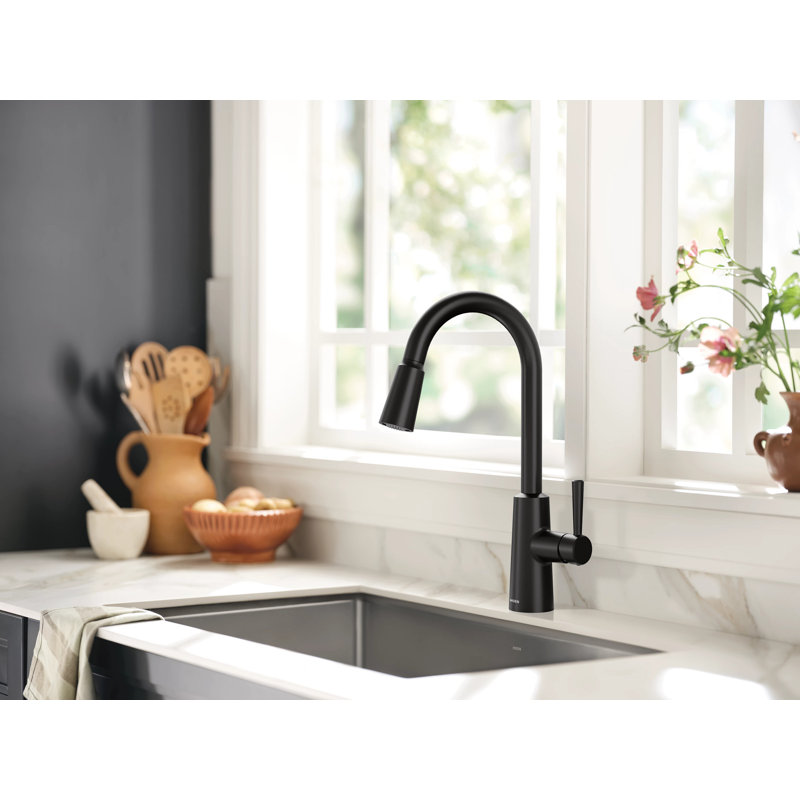 Robinet de cuisine Moen Riley avec technologie Power Clean, Noir