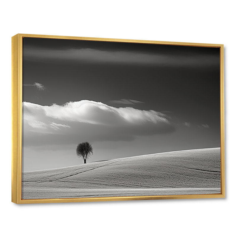Paysage d'hiver photo III sur toile, Cadre flottant doré, H 16 po x l 32 po x P 1 po