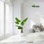 Pot à fleurs décoratif en faux palmier blanc 55 "Algreen
