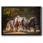 Sunlit Horses III, reproduction d'art sur toile encadrée-1656640099-1656640102