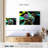 Brampt Chameleon-108695482