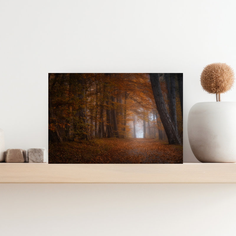 Sentier d'automne brumeux, forêt d'automne sereine et paisible, affiche murale, 12" H x 18" W