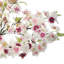 Couronne de fleurs de cerisier 14 po-166466489