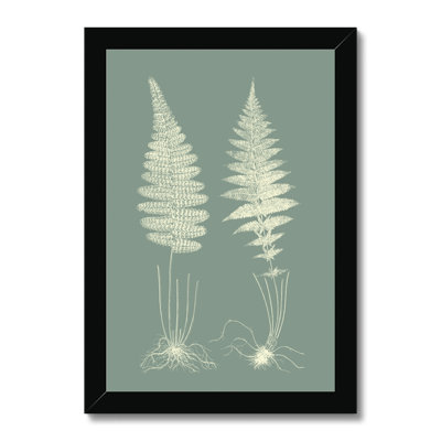 Ferns on Sage VI 1 Piece Painting