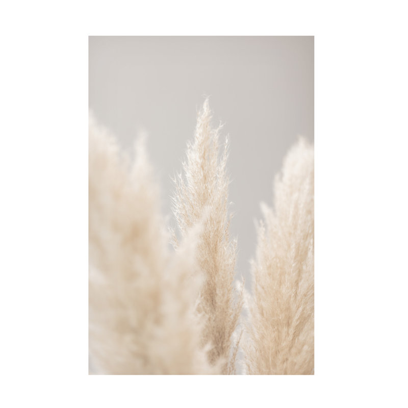 Pampas Grass Grey 04 par 1x Studio III - Photographie sur toile tendue, H 19 po x l 12 po x P 2 po