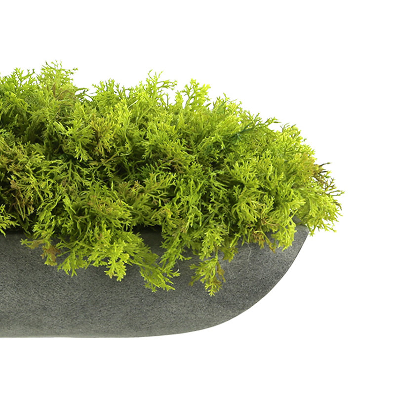 Faux Moss Plant in Fiberstone Planter, Gray, 6"H x 22"W x 7"D