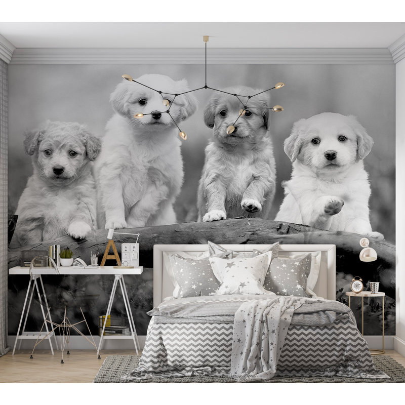 Papier peint animaux - Quatre chiots, L 41 po x l 59 po