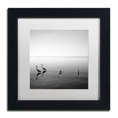 " 4 Herons " by Moises Levy