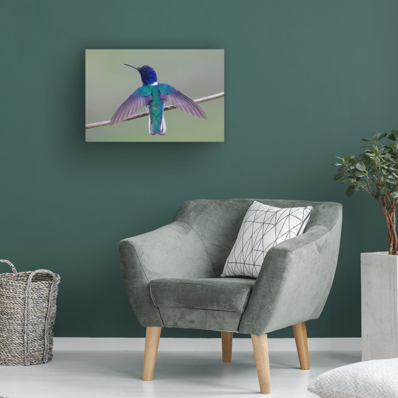 Art sur toile à balançoire bolognaiseolog, H 12 po x l 19 po
