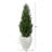 3.5Ft. Mini Cedar Artificial Pine Tree In White Planter UV Resistant (Indoor/Outdoor)