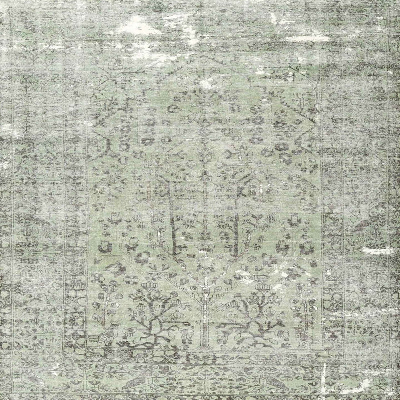 Amettes Indoor Rug, Square 4'