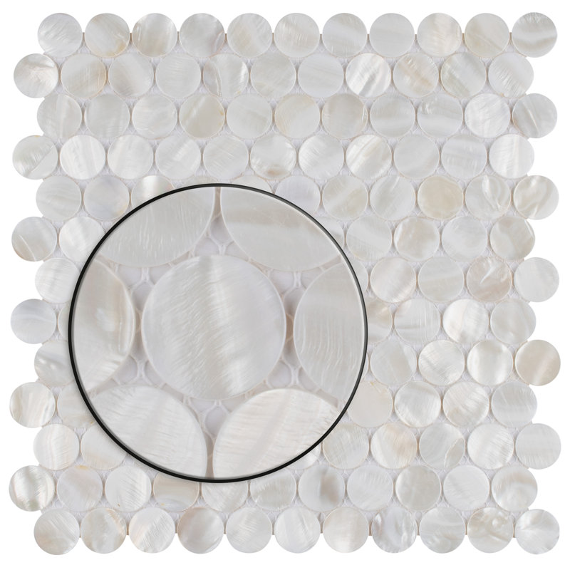 Conchella Penny White 11-1/4" x 11-5/8" Natural Shell Mosaic Tile