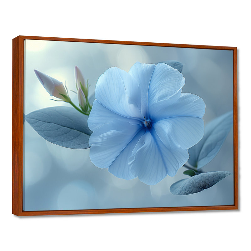 Bleu cristal, gloire du matin, fleurs, photo III - gloire du matin, décoration murale, Cadre flottant brun, H 16 po x l 32 po