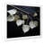 White Single Picture Framed selected