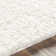 Bjarne Oriental Indoor Rug