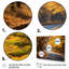 «Golden Road Into The Autumn Forest V» - art mural route-176775255-176775252