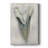 Watercolor Sharks Tooth II -Custom Wrapped Gallery Cavas-477605024