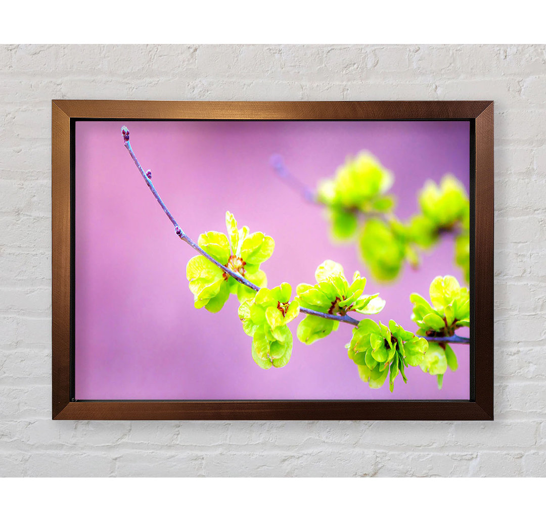 Kleine grüne Blumen - Einzelne Bilderrahmen Kunstdrucke