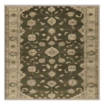 Machine Washable Overdyed Brown Area Rug