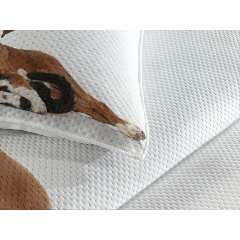 Farmhouse / Country Polyester Coverlet
