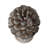 D7x10.5" Table Decor, Pinecone