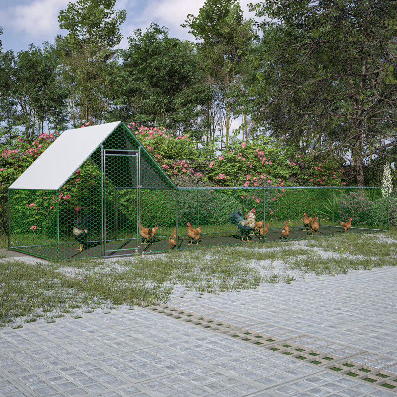 Cage à poulailler avec poulailler 16x3FT, 80" H x 313.03" W x 80.67" D