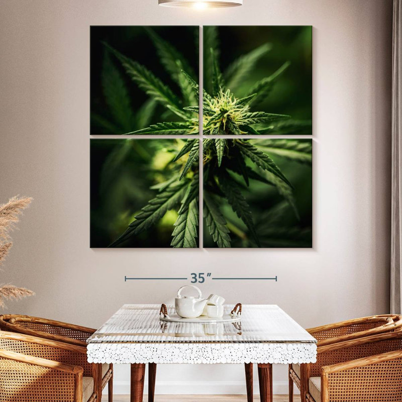 Marijuana fraîchement fleurie