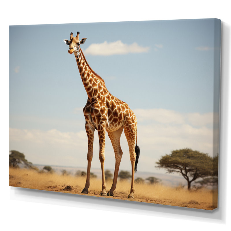 " Giraffe Gentle Horizon ", Toile tendue, H 24 po x l 32 po x P 1 po