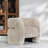 Teddy Plush Accent Chair-396229153