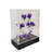 Clear Cabinet Acrylic Display Removable Shelf Case Plexiglass Showcase with Lock and Key Transparent