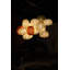 Poppy 1 - Light Pendant-17681060-7463987-3386721