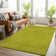 Alfheim Shag Area Rug