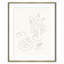 Matisse Still Lifes Set Soicher Marin