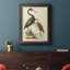 Water Birds III " Water Birds III " Painting Print-851950540
